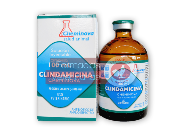 CLINDAMICINA-100-ML-1